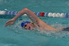 MSwim vs USCGA  Men’s Swimming & Diving vs US Coast Guard Academy. : MSwim, swimming